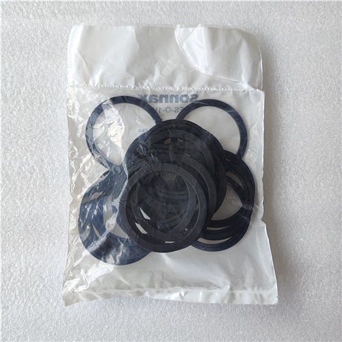 4HP22-FS-O-V-AM Torque Converter Seal Ring for ZF 4HP22 4HP24 5HP30 Transmission
