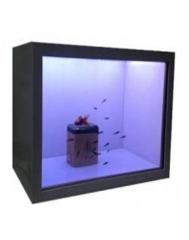 transparent lcd display light box with transparent lcd glass