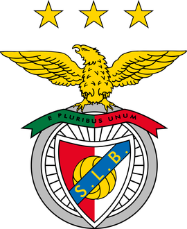 Benfica soccer jersey