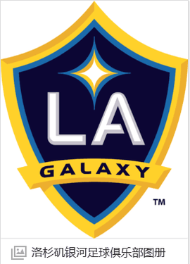 Los Angeles Galaxy soccer jersey
