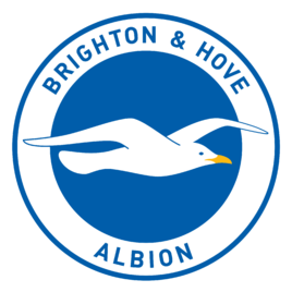 Brighton & Hove soccer jersey