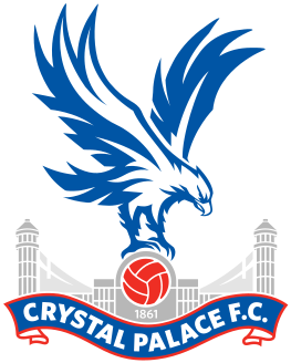 Crystal Palace soccer jersey