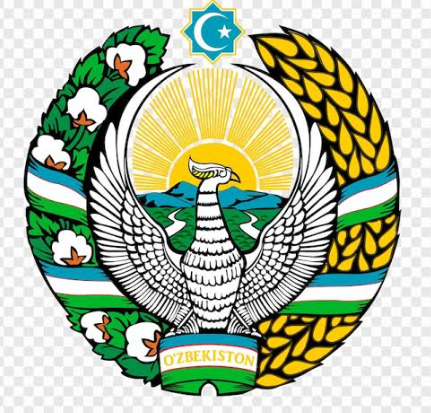 Uzbekistan soccer jersey