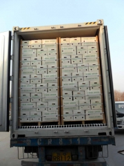 loading produce