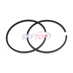 Piston Ring