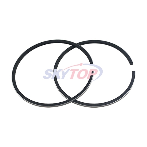 Piston Ring