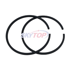 Piston Ring