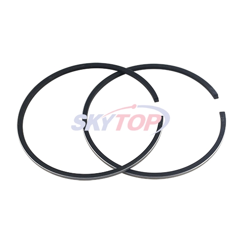 Piston Ring