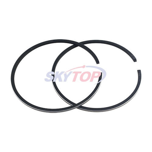Piston Ring