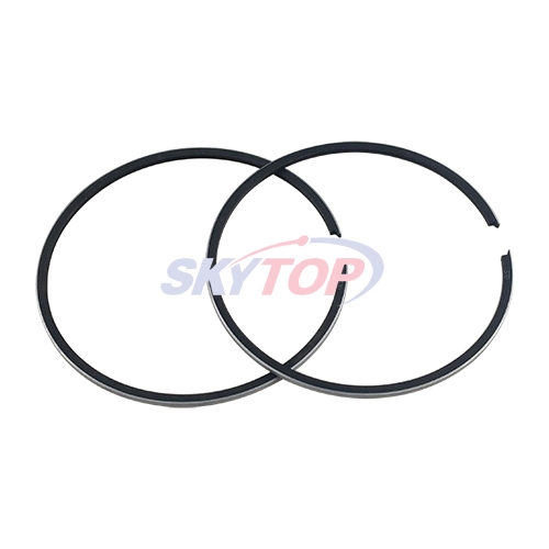 Piston Ring