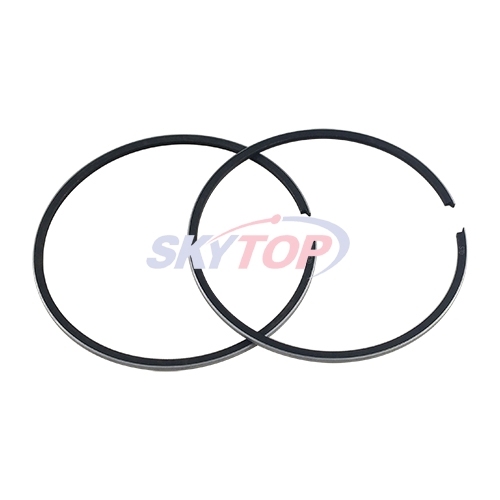 Piston Ring