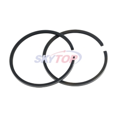 Piston Ring