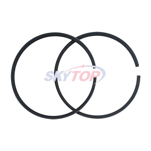 Piston Ring
