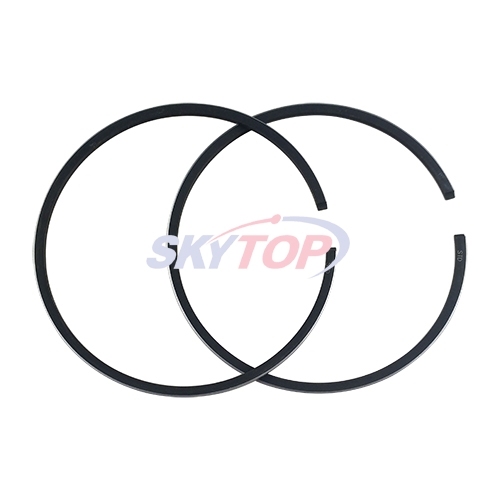 Piston Ring