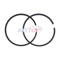Piston Ring