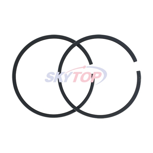 Piston Ring