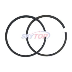 Piston Ring