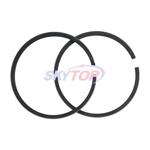 Piston Ring
