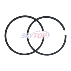Piston Ring