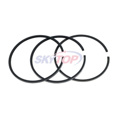 Piston Ring