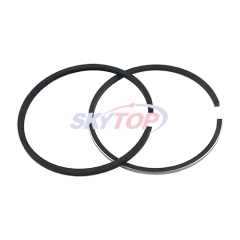 Piston Ring