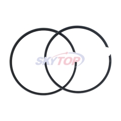 Piston Ring