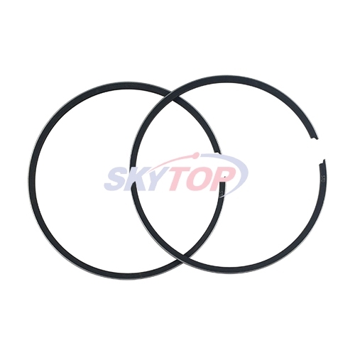 Piston Ring