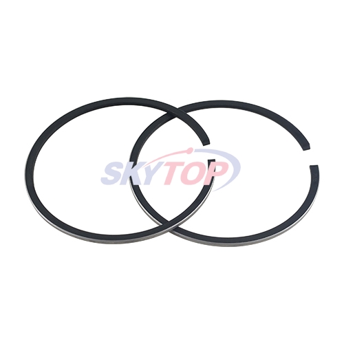 Piston Ring