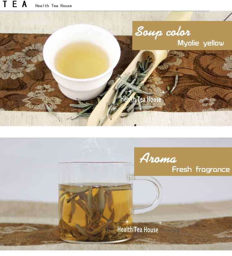 best white tea 