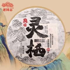 2020 Хайвань "Сбор растительного духа" Сырой Пуэр Чай серии Превосходный "Лин Ци" Сырой Пуэр Премиум 400г