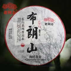 2022 Haiwan Zhang Jia San Dui Village Raw Puer Chinese Tea Bulang Mountain Aged Tree Sheng Puer Chinese Tea 500g