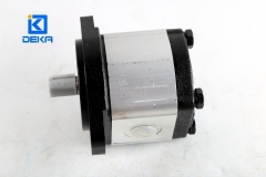 DEKA gear pump PLP20.11.2D0-31S1-LGE GD-N-EL