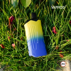 Vapmod QD97V2 Disposable Vape 8000 Puffs