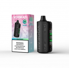 VOOKAH SHISHA DTL + MTL 50K