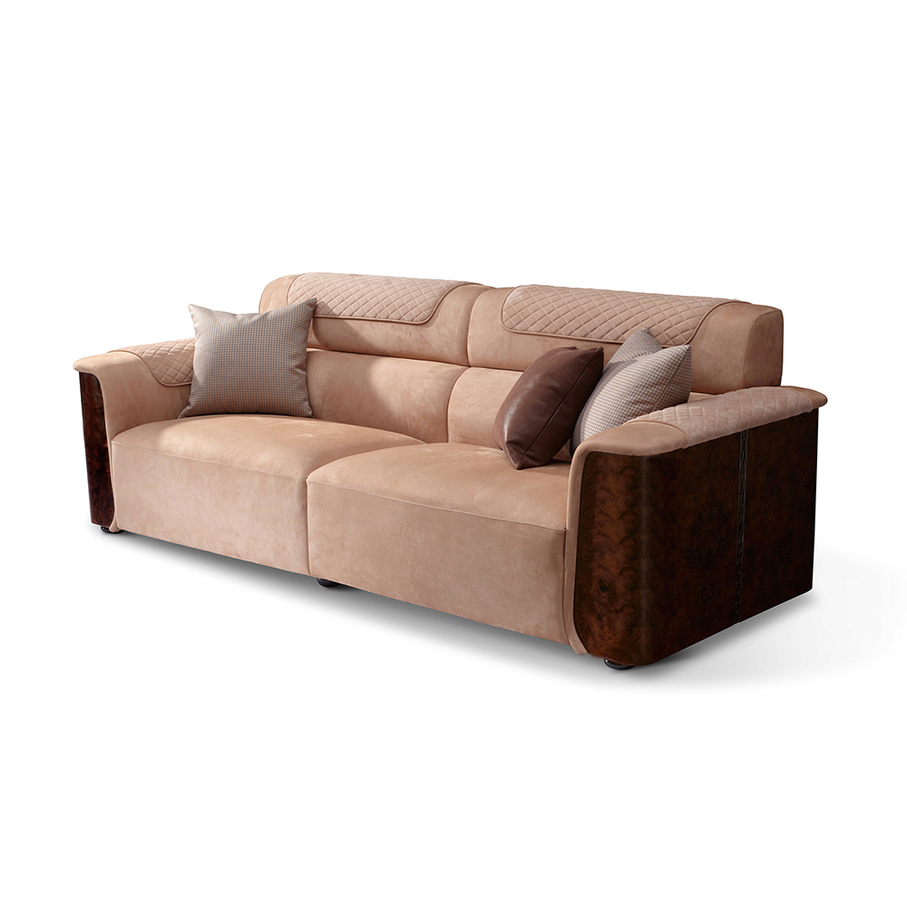 Trendy Couch for Modern Homes