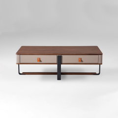 Modern 2-Drawer Wood Top Metal Frame Coffee Table