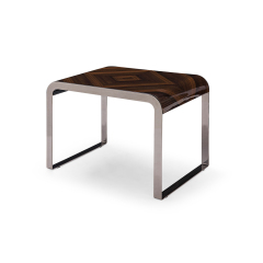 High Gloss Veneer Top Metal Frame End Table