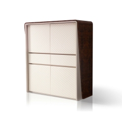 Modern design and storage restaurant wine cabinet