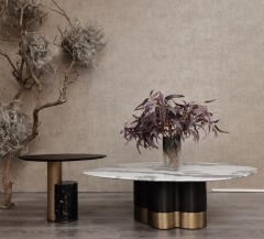 Modern Shaped Marble Countertop Coffee Table Set