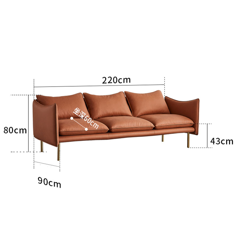 Stylish Contemporary Couch
