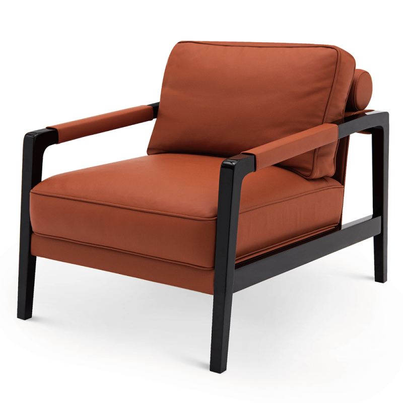 Living room lounge chair with armrests and back support ​