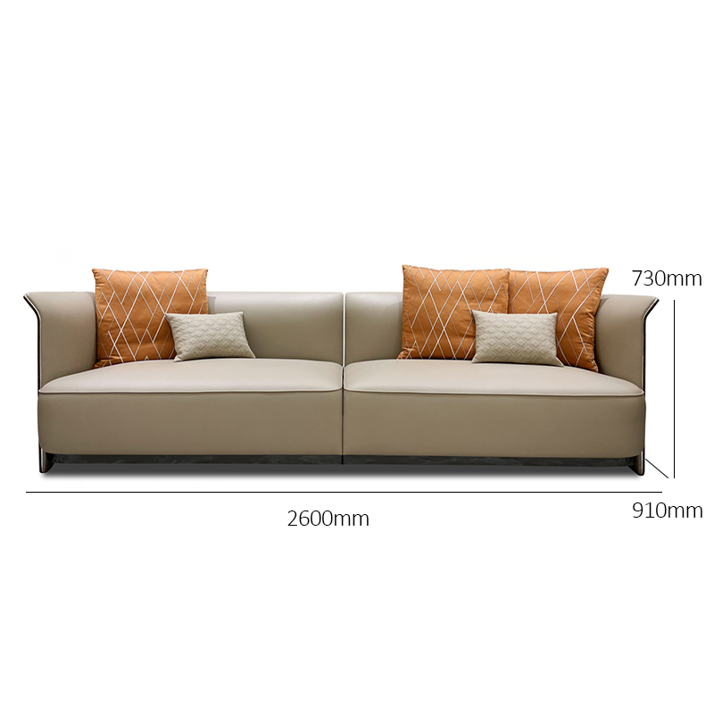 Stylish and Functional Sofa