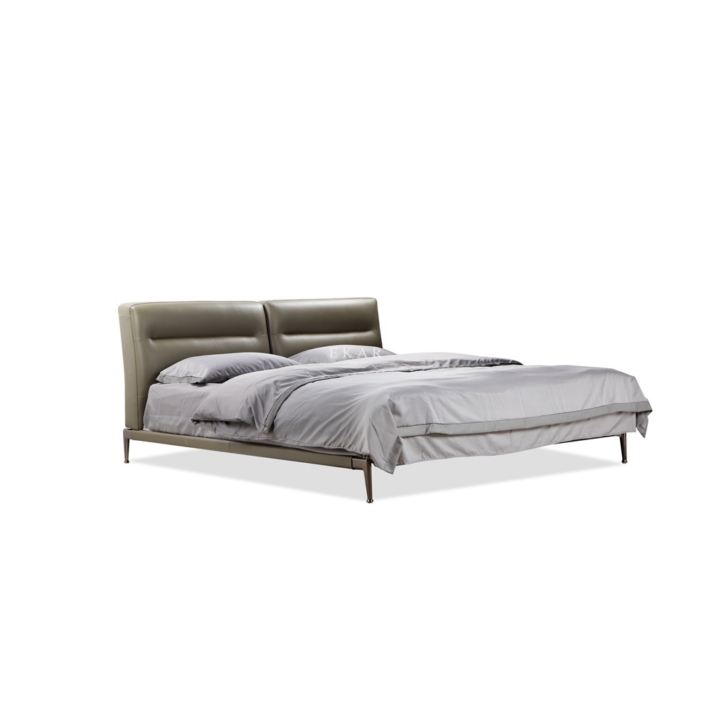 Modern Bed with Metal Frame