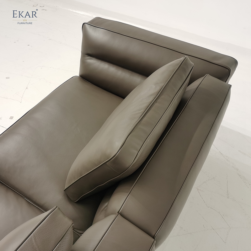 Fabric Sofa with Aluminum Alloy Legs