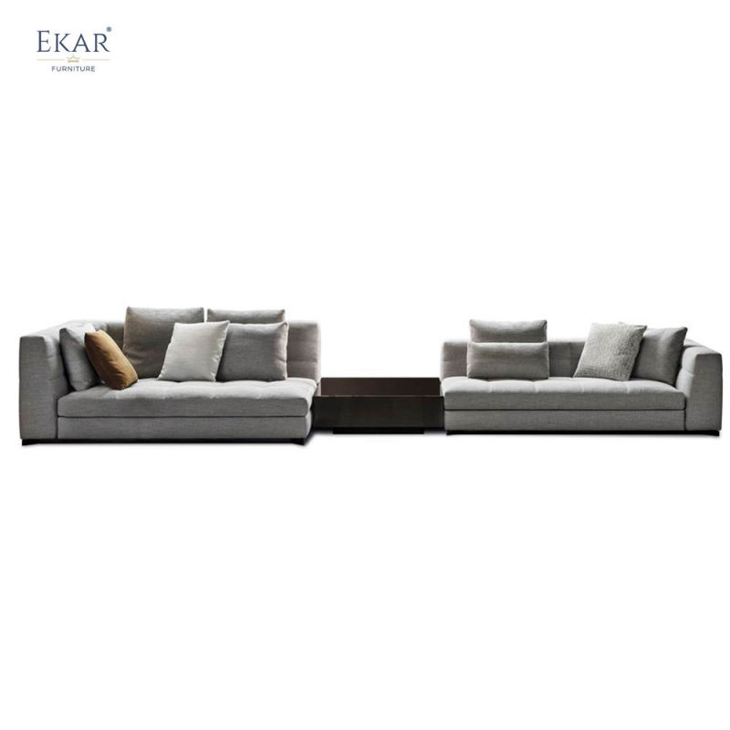 Ekar Furniture Armrest and Metal Leg Sofa