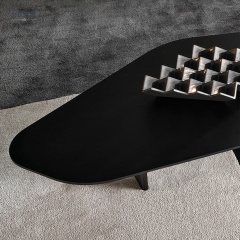 Irregular Wood Veneer Coffee Table - Unique Natural Beauty for Your Living Space