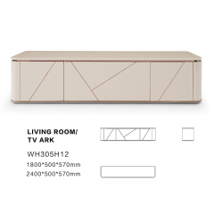 Modern design home living room TV cabinet