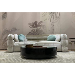 Elegant living room coffee table: decoration for a modern living room