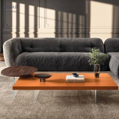Living Room Coffee Table for Modern Homes