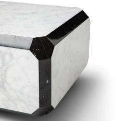 Modern stylish metal and marble finish rectangular coffee table suitable for home living room